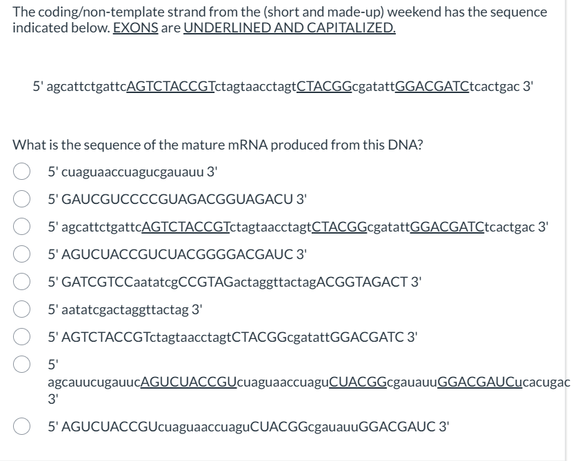 Solved The coding/nontemplate strand from the (short and