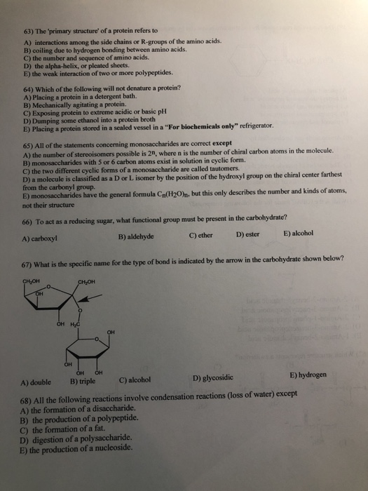 Solved 63) The primary structure of a protein refers to A) | Chegg.com