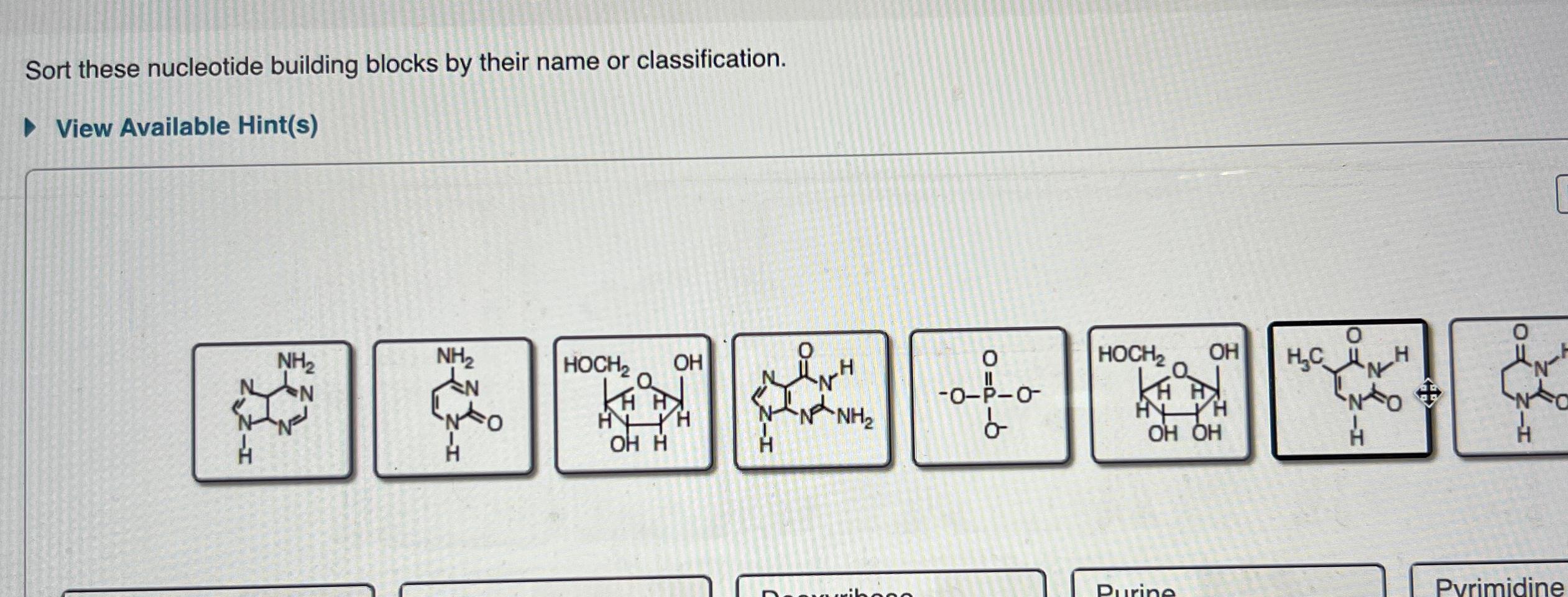 Solved Sort these nucleotide building blocks by their name