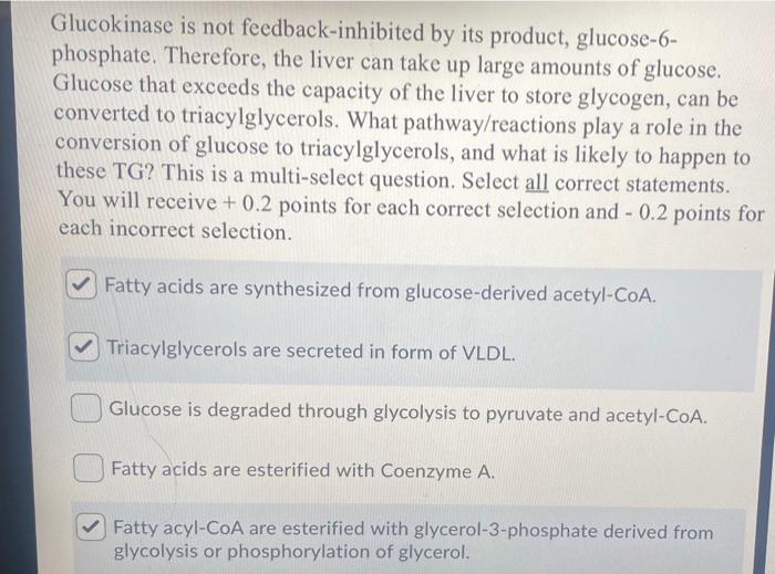 Solved Glucokinase is not feedbackinhibited by its product,