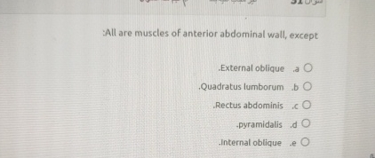 Solved All are muscles of anterior abdominal wall, | Chegg.com