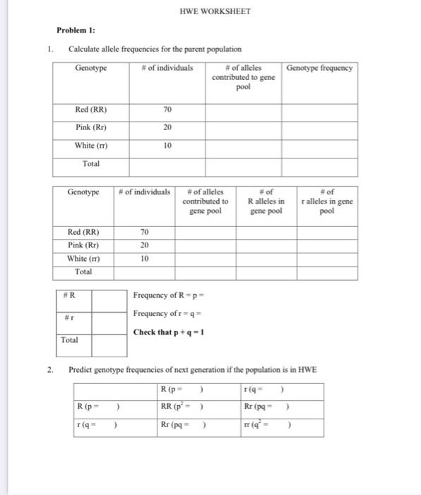 Multiple Alleles Worksheet Answer Key Pdf
