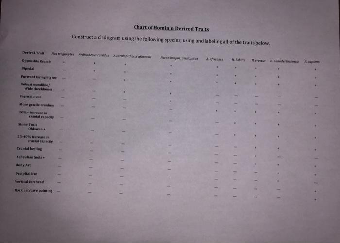 Chart of Hominin Derived Traits Construct a cladogram | Chegg.com
