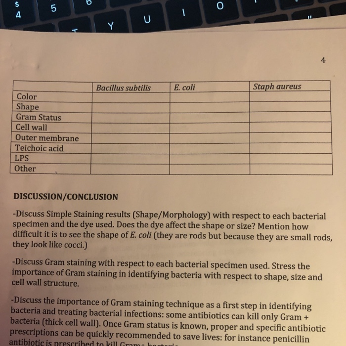 Solved 4 5 O U Y Bacillus Subtilis E Coli Staph Aureus Chegg Com