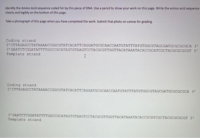 Solved Identify the Amino Acid sequence coded for by this | Chegg.com