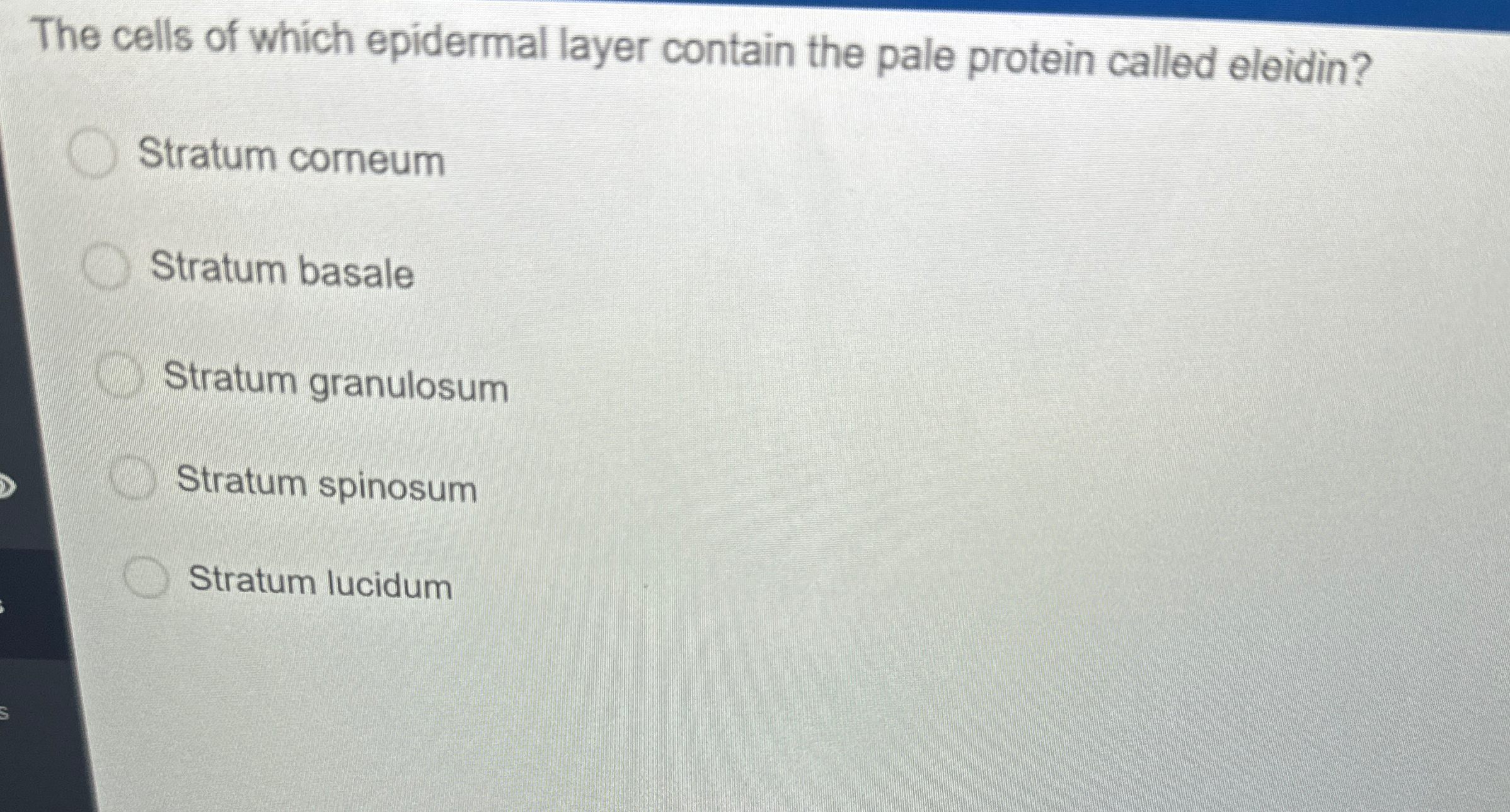 Solved The cells of which epidermal layer contain the pale | Chegg.com