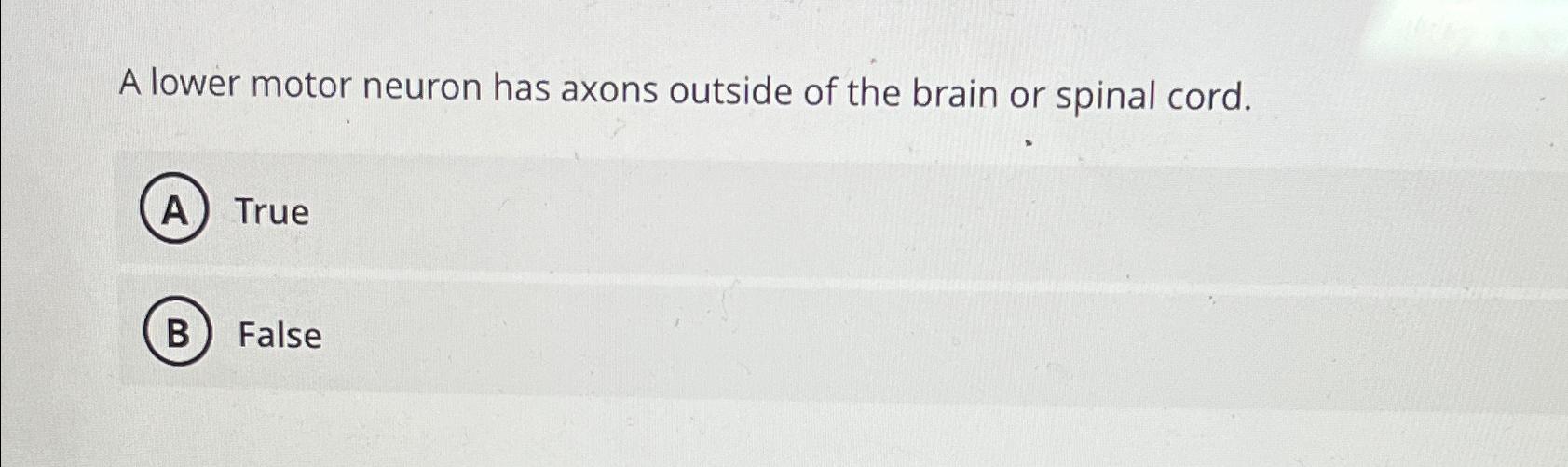 Solved A lower motor neuron has axons outside of the brain | Chegg.com