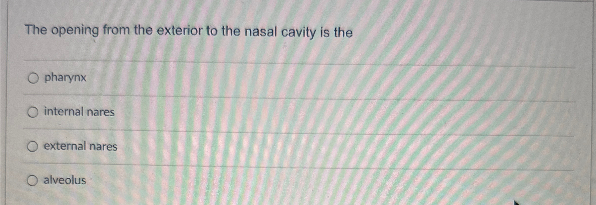 Solved The Opening From The Exterior To The Nasal Cavity Is 