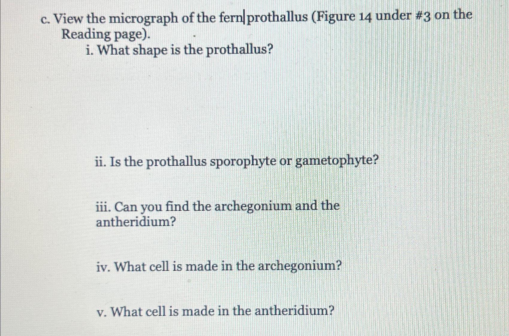 Solved c. ﻿View the micrograph of the fern/prothallus | Chegg.com