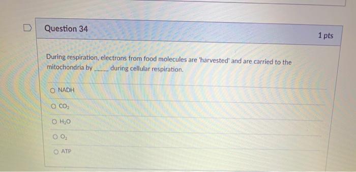 Solved D Question 31 1 pts Celery stalks that are immersed | Chegg.com