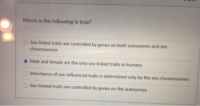 Solved In cats, short hair (H) is dominant over long hair | Chegg.com