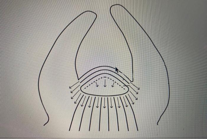 Solved can u label this image based on these? Ground | Chegg.com