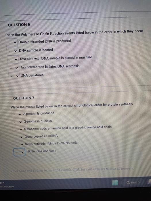 Solved Place the Polymerase Chain Reaction events listed