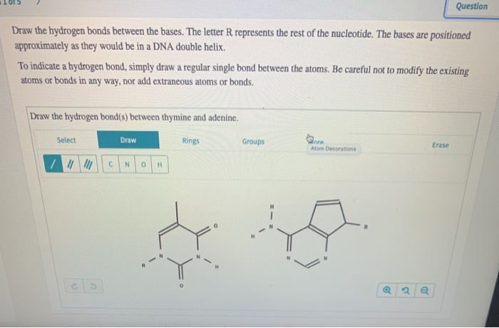 Solved What is the complementary sequence to the DNA strand | Chegg.com