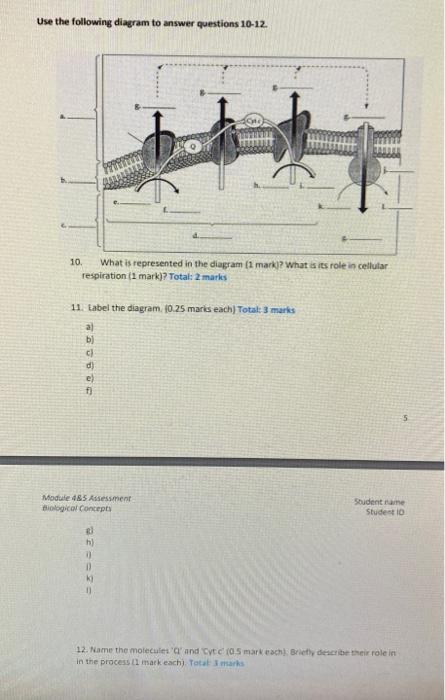 Use The Following Diagram To Answer Questions 10-12. | Chegg.com