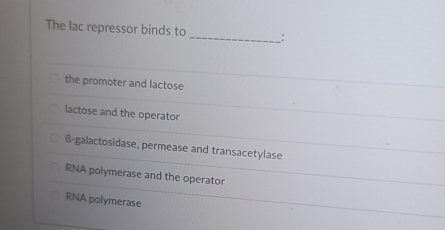 How does lactose (allolactose) promote transcription