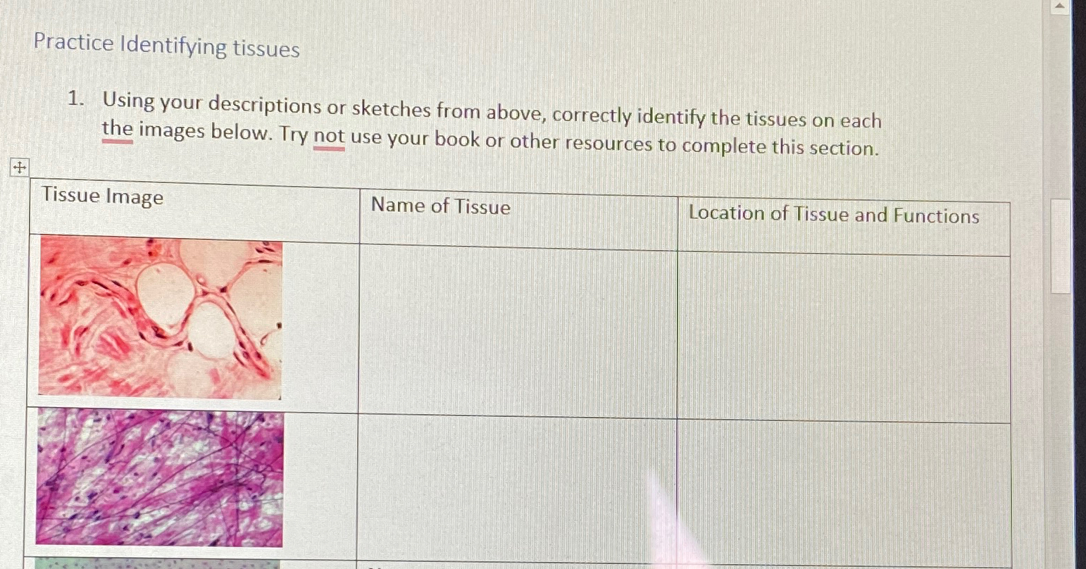 Solved Practice Identifying tissuesUsing your descriptions | Chegg.com