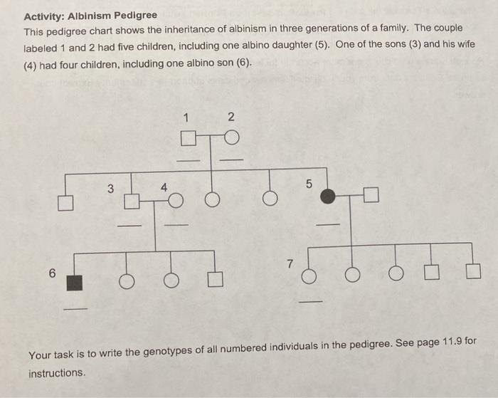 Solved Activity Albinism Pedigree This Pedigree Chart Shows Chegg Com
