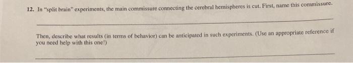 in split brain experiments the main commissure