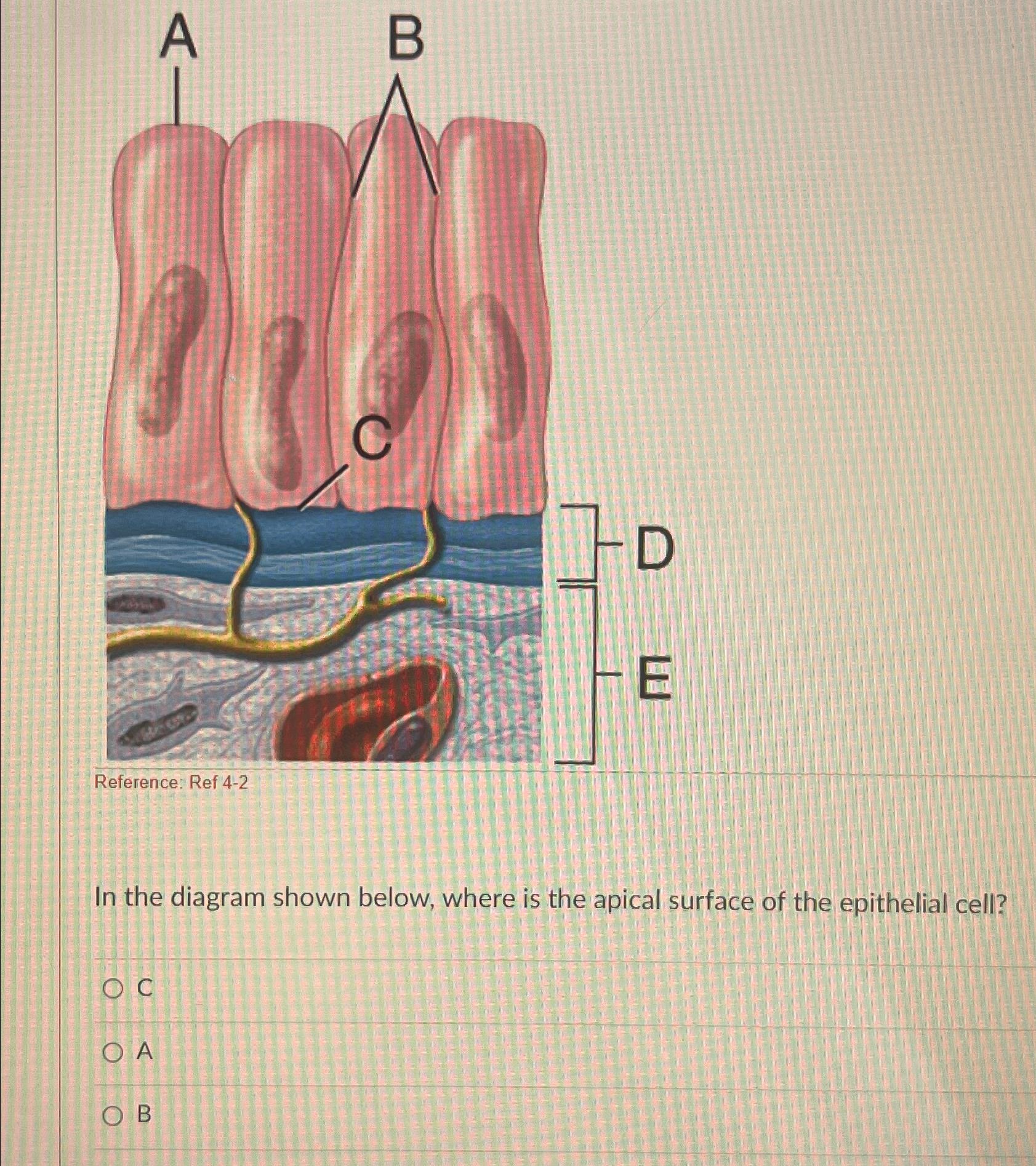 Solved Reference: Ref 4-2In the diagram shown below, where | Chegg.com