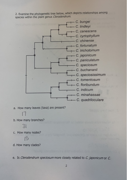 Solved 2. Examine the phylogenetic tree below, which depicts | Chegg.com