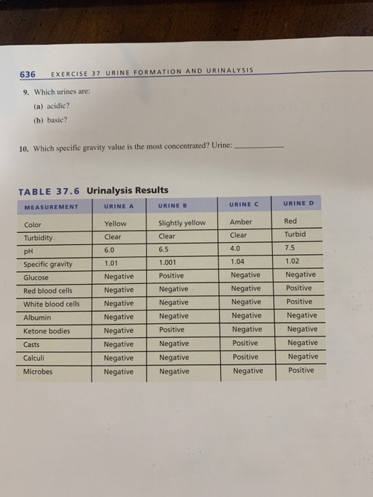 Solved 636 EXERCISE 37 URINE FORMATION AND URINALYSIS 9.