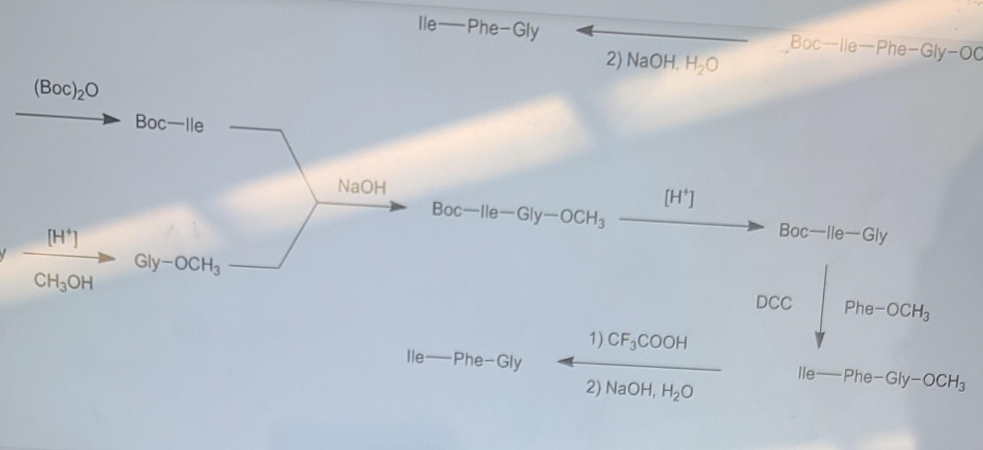 Gly Gly NaOH: Tìm Hiểu Phản Ứng Hóa Học Cơ Bản và Ứng Dụng Thực Tiễn