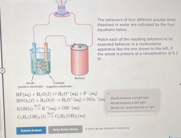 Solved The behaviors of four different solutes when | Chegg.com