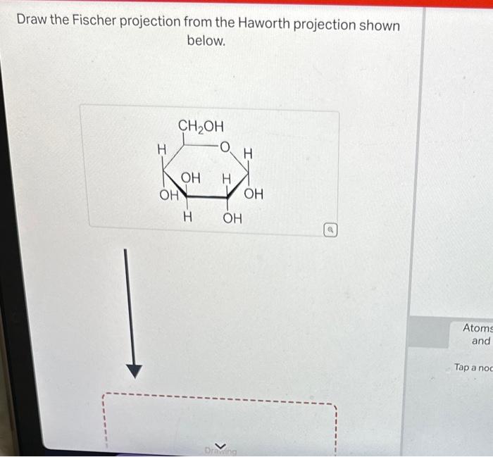 Solved Draw the Fischer projection from the Haworth