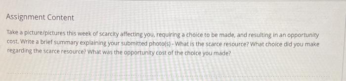 Solved Assignment Content Take a picture/pictures this week | Chegg.com