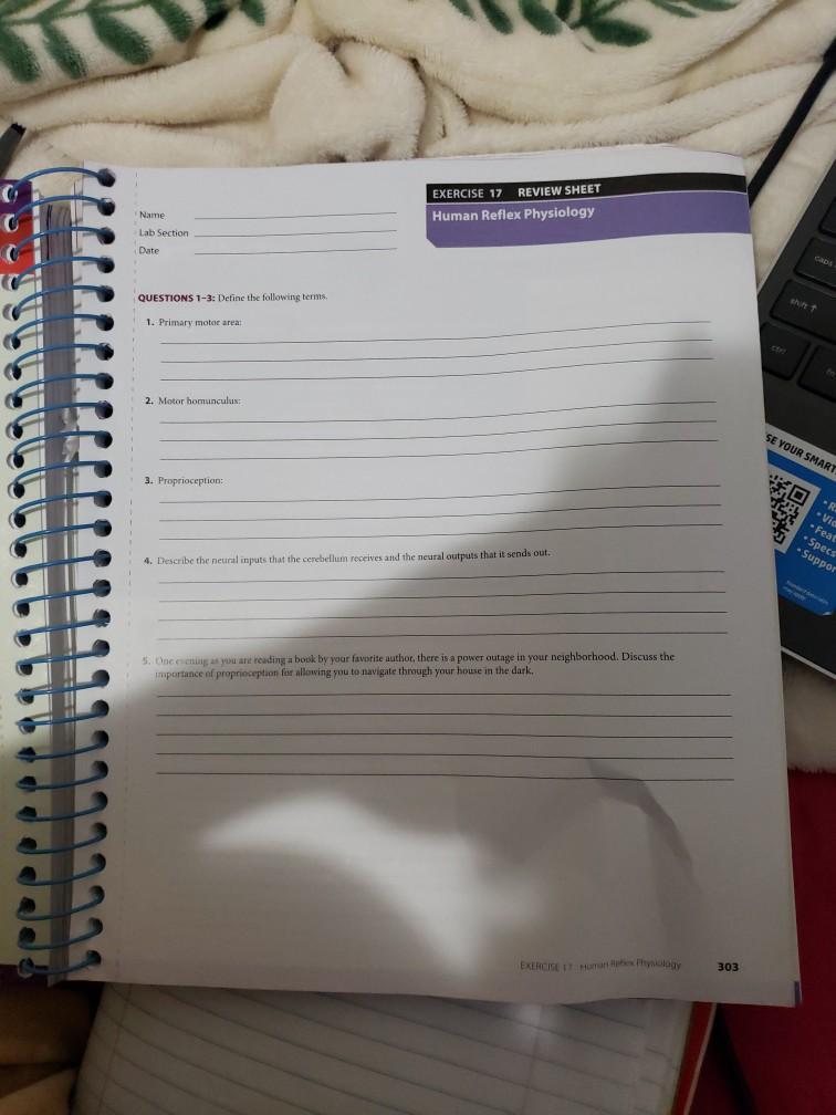 Solved EXERCISE 17 REVIEW SHEET Human Reflex Physiology Name