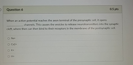 Solved Question 6When an action potential reaches the axon | Chegg.com