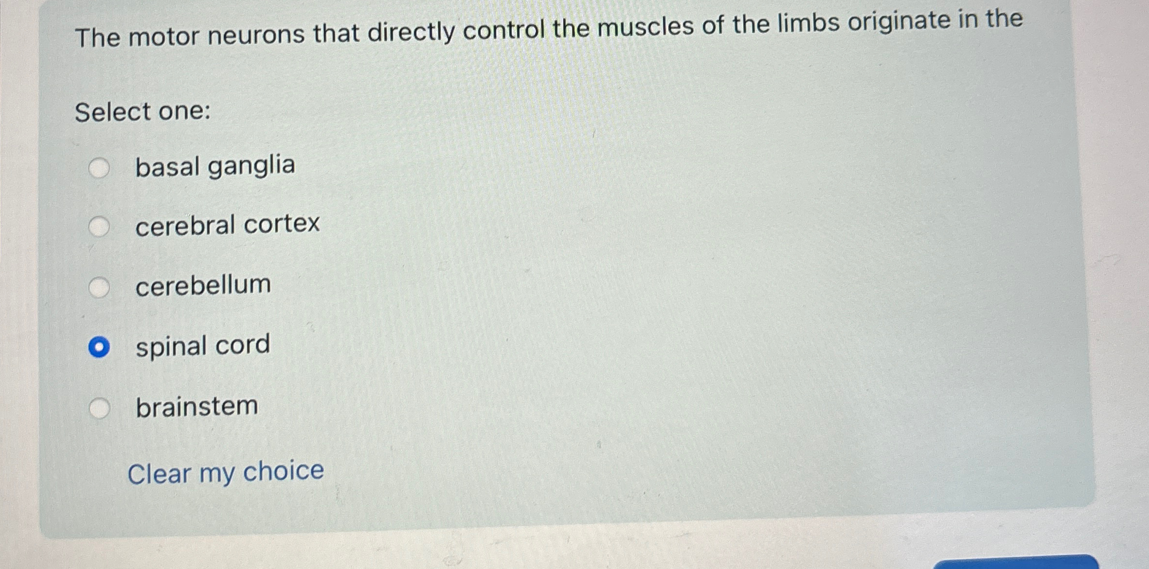 Solved The motor neurons that directly control the muscles | Chegg.com