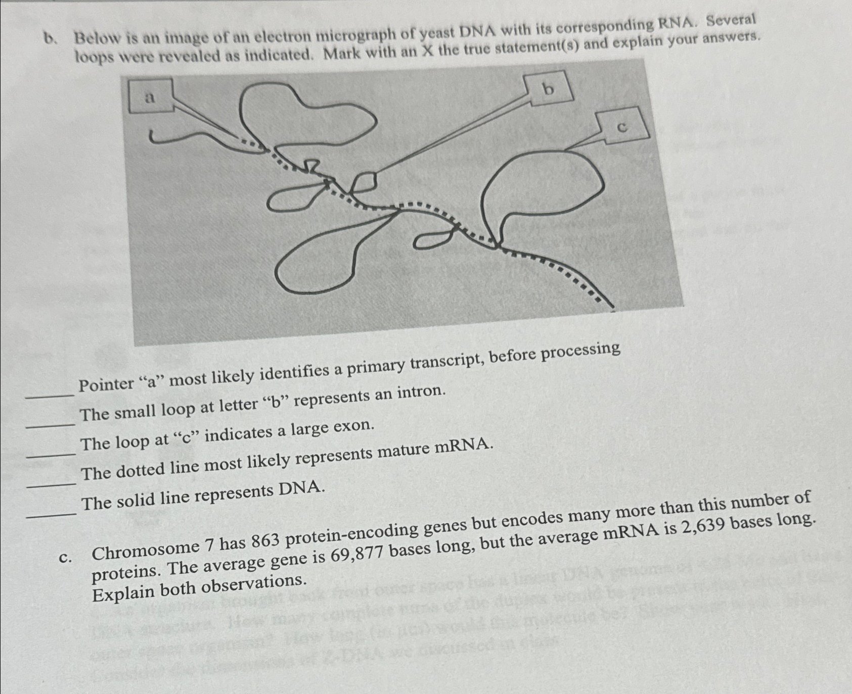 Solved b. ﻿Below is an image of an electron micrograph of | Chegg.com