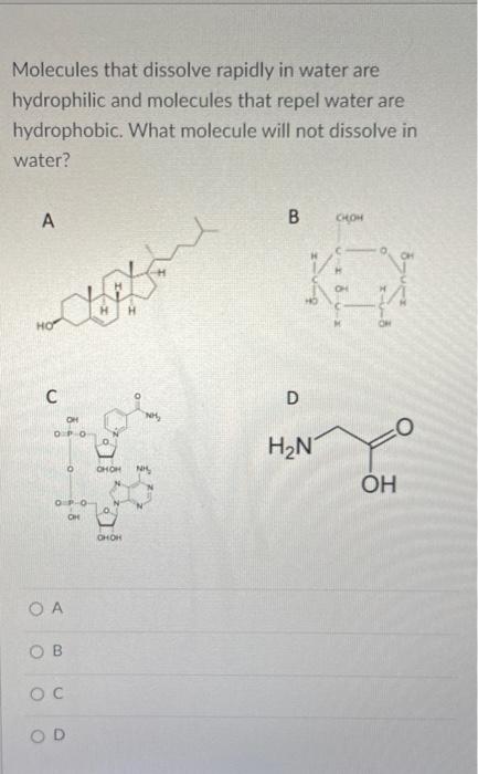 Solved Molecules that dissolve rapidly in water are | Chegg.com