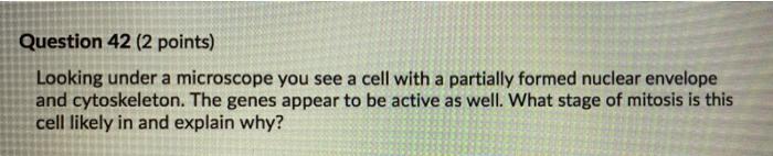 Solved Question 42 (2 points) Looking under a microscope you | Chegg.com
