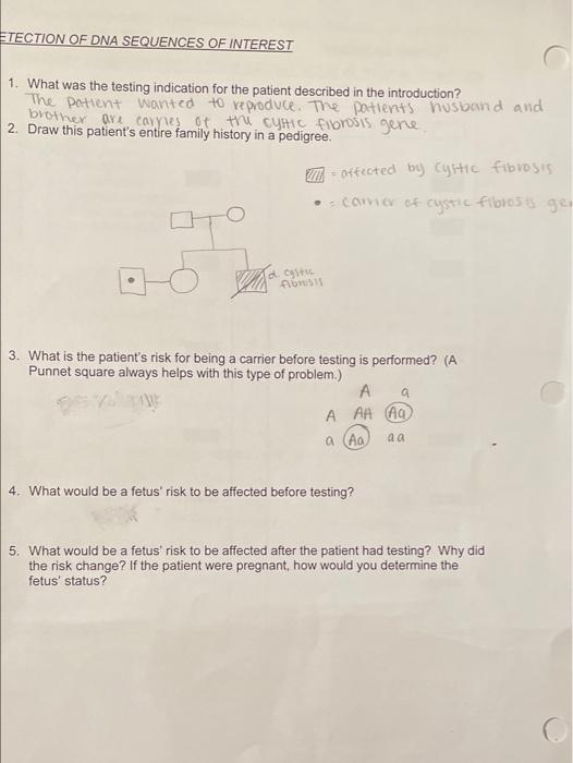 Solved please help ive posted 3 times and no one can give me | Chegg.com