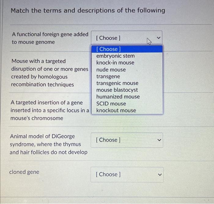 IMMUNODETECTIVE BIOKIT ANSWERS visual data 6