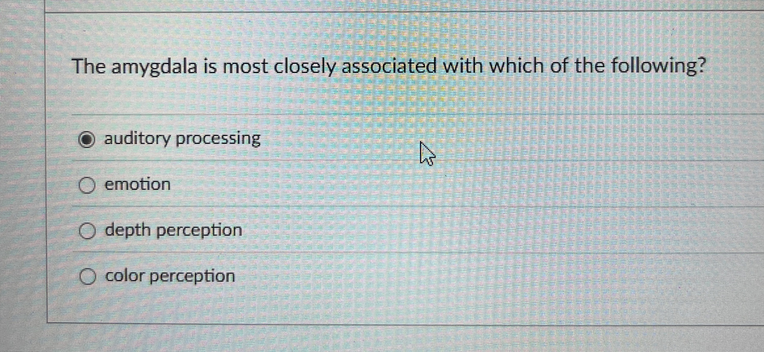 Solved The amygdala is most closely associated with which of | Chegg.com