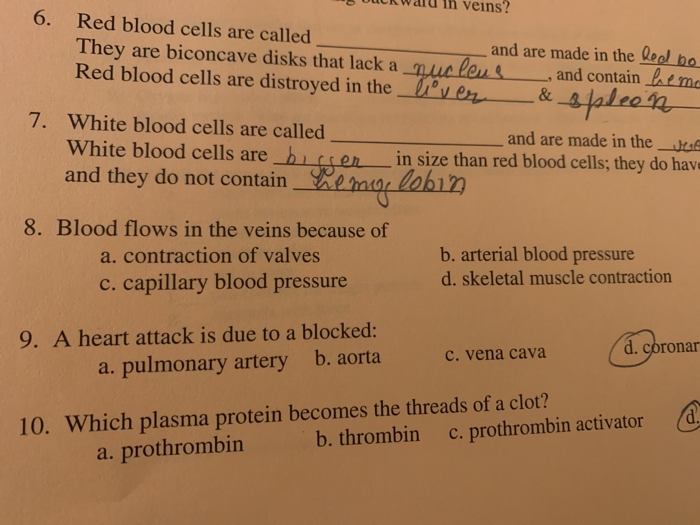 Solved Uuliwalu in veins? 6. Red blood cells are called and | Chegg.com