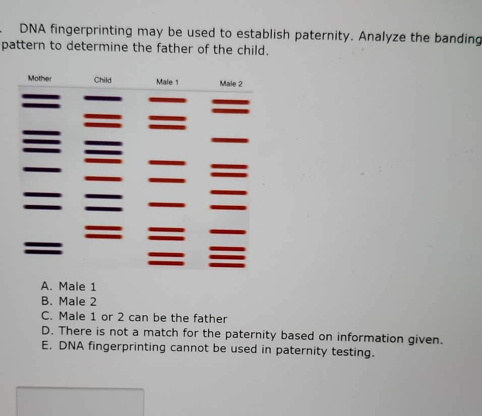 solved-dna-fingerprinting-may-be-used-to-establish-chegg