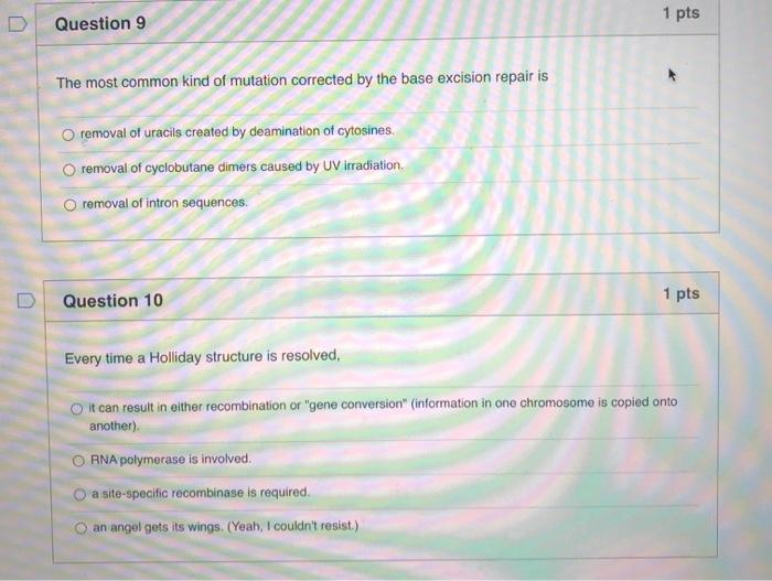 Solved Question 9 1 pts The most common kind of mutation | Chegg.com