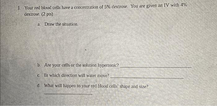 Solved Your red blood cells have a concentration of \5 | Chegg.com