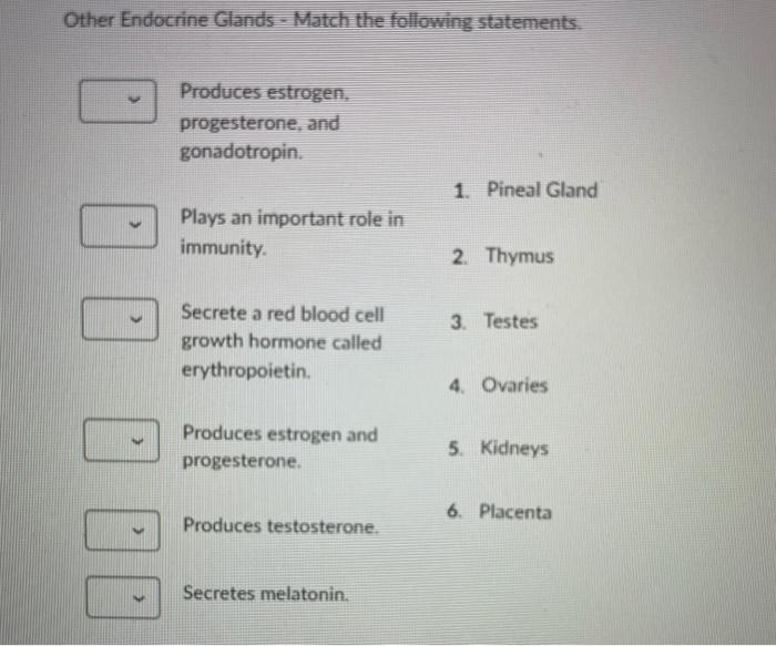 Solved Other Endocrine Glands - Match the following | Chegg.com