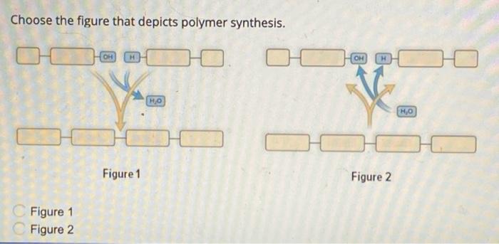 Solved Choose the figure that depicts polymer synthesis. OH | Chegg.com