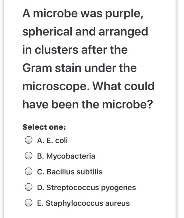 Solved A Microbe Was Purple Spherical And Arranged In Cl