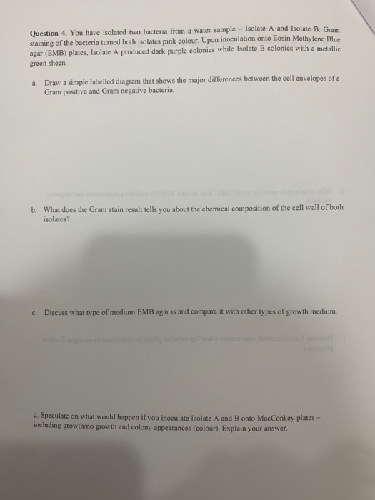 Solved Question 4. You have isolated two bacteria from a | Chegg.com
