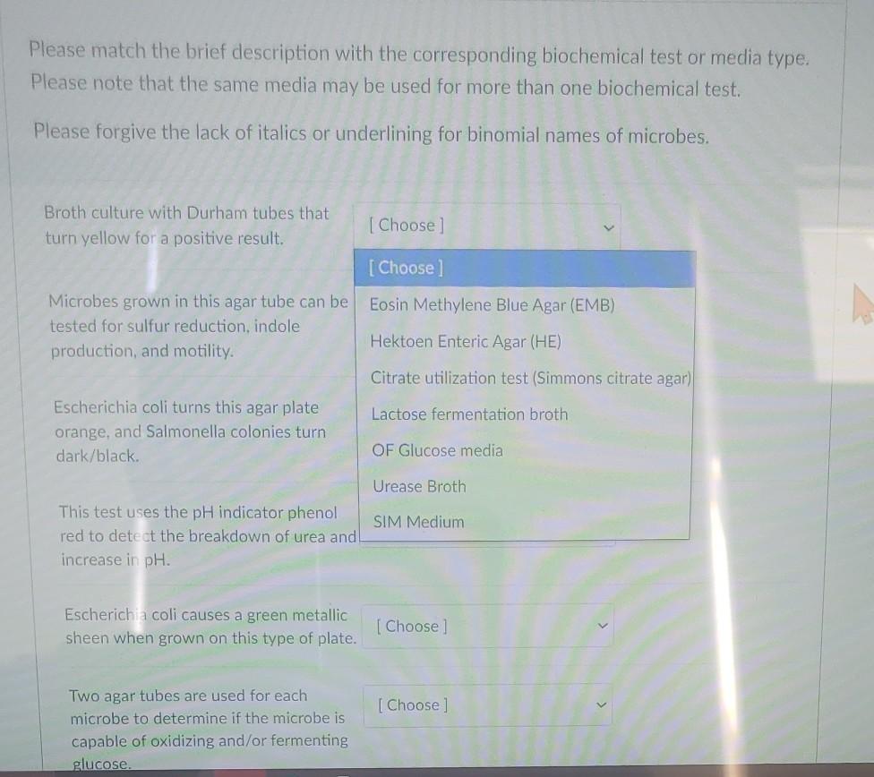 Solved After incubating in the SIM media, Kovac's reagent V | Chegg.com