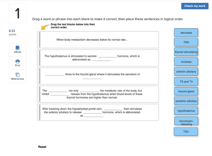 Solved Check my work Drag a word or phrase into each blank | Chegg.com