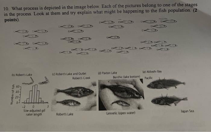 Solved 10. What process is depicted in the image below. Each | Chegg.com